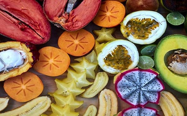 تصویر 5 از قیمت خرید مخلوط میوه های استوایی + فروش ویژه